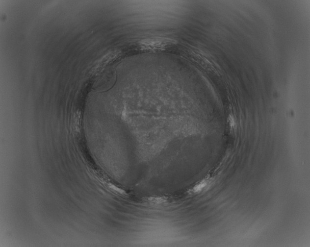 X0000070340649200606231533