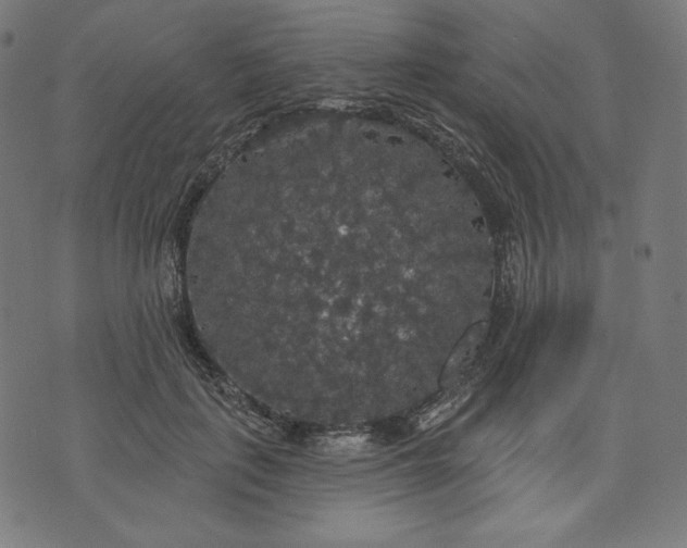 X0000070340651200606231533