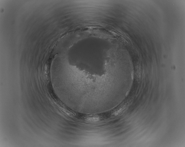 X0000070340653200606231533