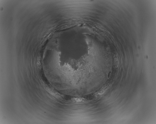 X0000070340654200606231533