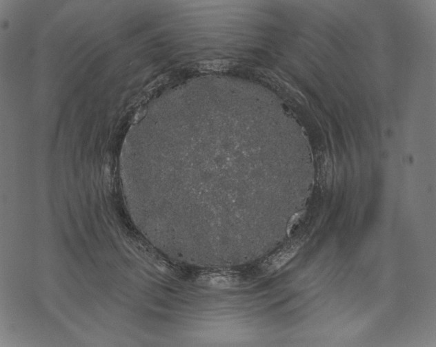 X0000070340655200606231533