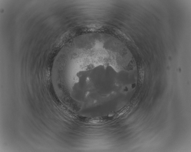 X0000070340657200606231533