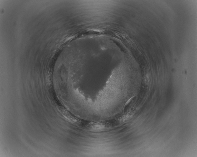 X0000070340658200606231533