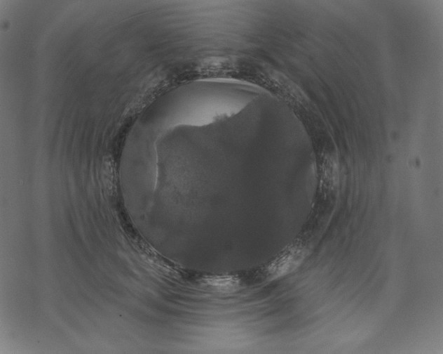 X0000070340659200606231533