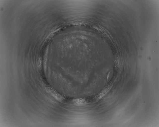 X0000070340660200606231533