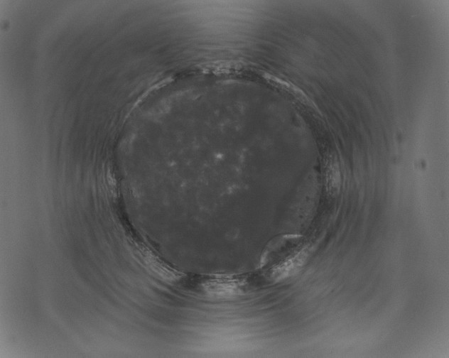 X0000070340661200606231533