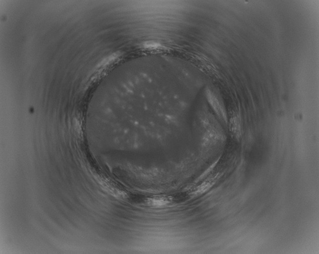 X0000070340662200606231533