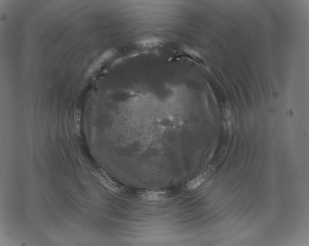 X0000070340664200606231533