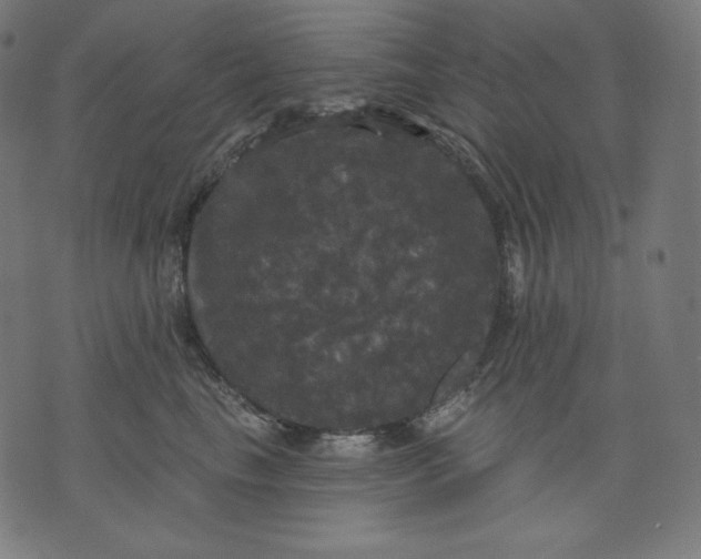 X0000070340665200606231533