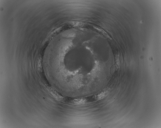 X0000070340667200606231534