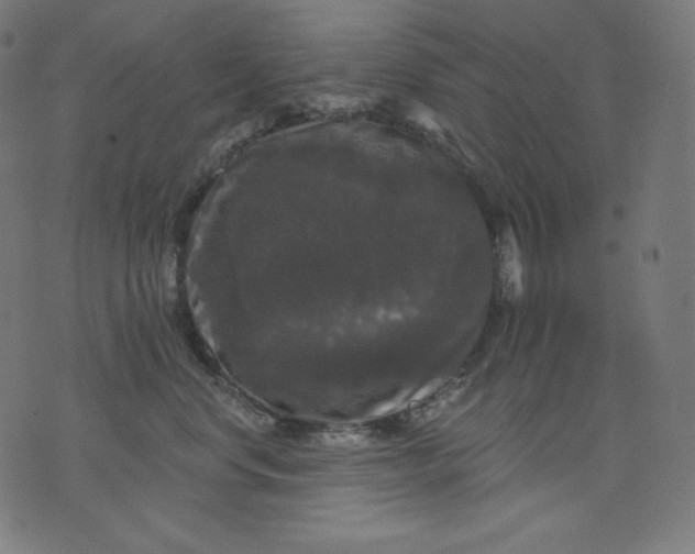 X0000070340668200606231534