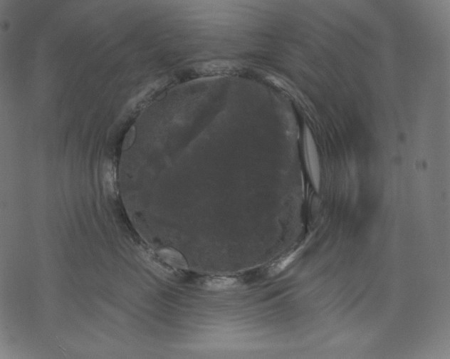 X0000070340669200606231534