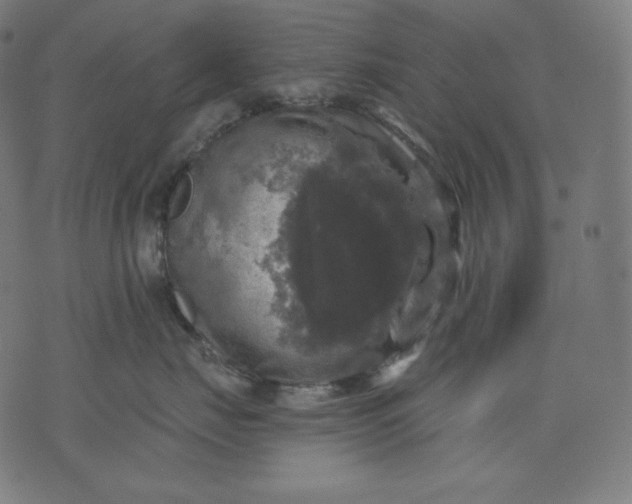 X0000070340671200606231534