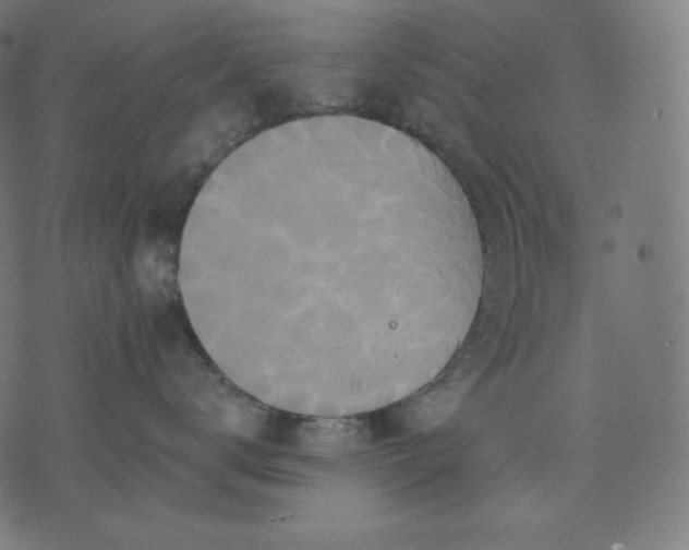 X0000070340672200606231534