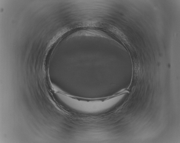 X0000070340674200606231533