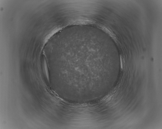 X0000070340675200606231533