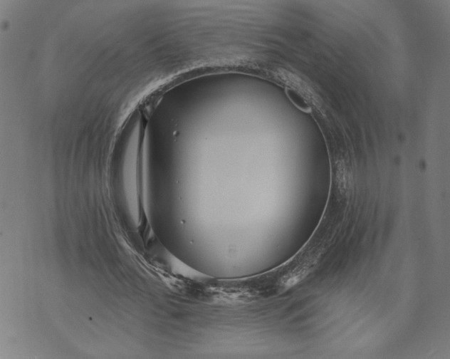 X0000070340676200606231533