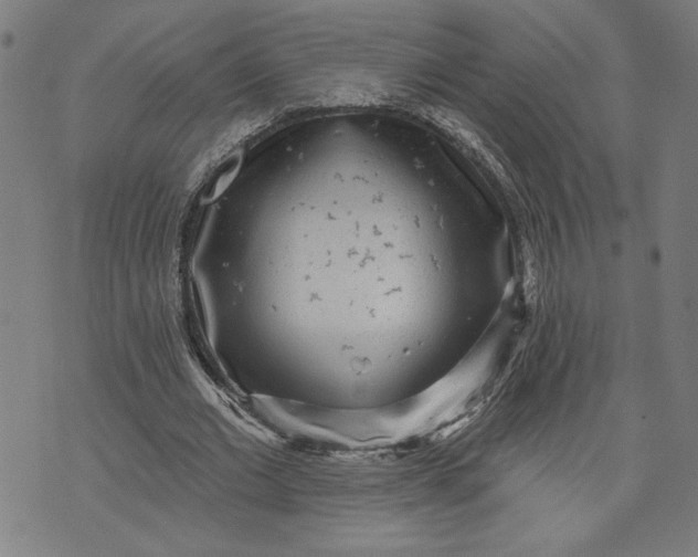 X0000070340677200606231533