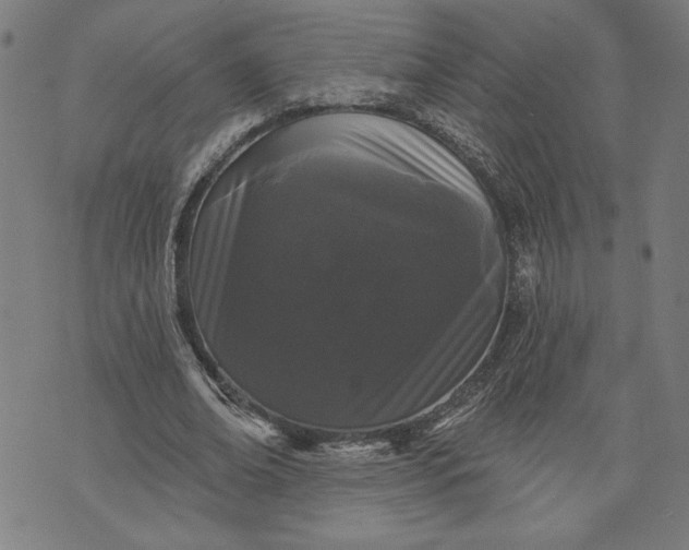 X0000070340678200606231533