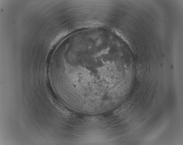 X0000070340679200606231533