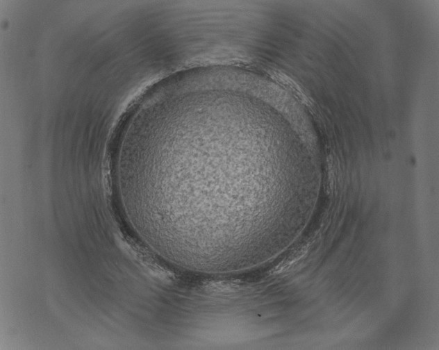 X0000070340680200606231533