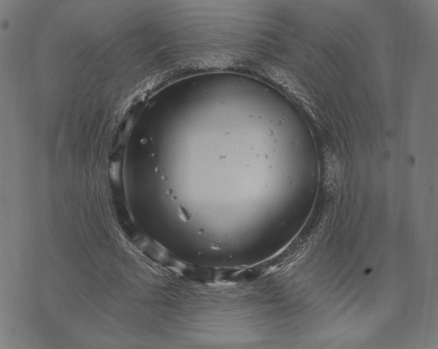 X0000070340681200606231533