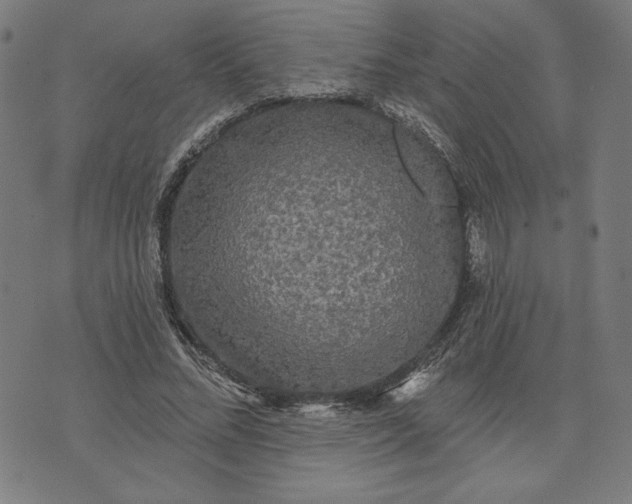 X0000070340684200606231533