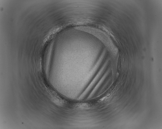 X0000070340685200606231533