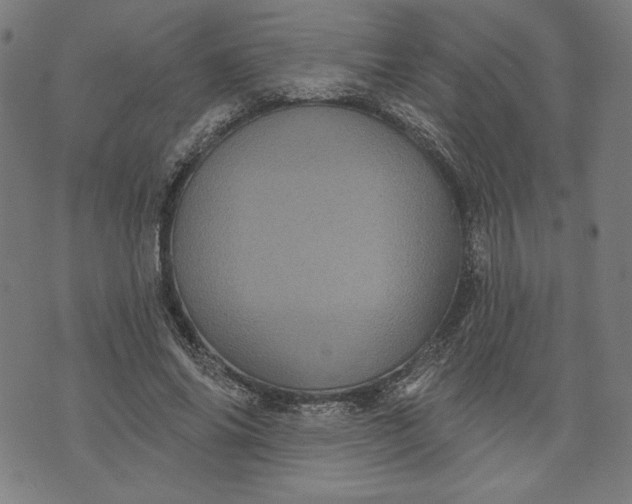 X0000070340686200606231533