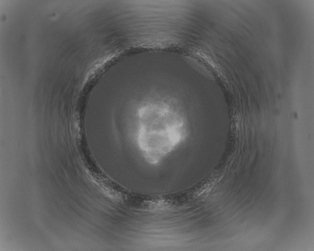 X0000070340688200606231533