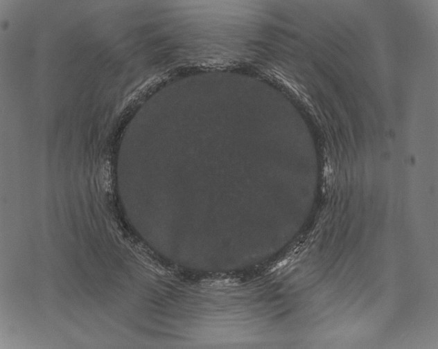 X0000070340689200606231533