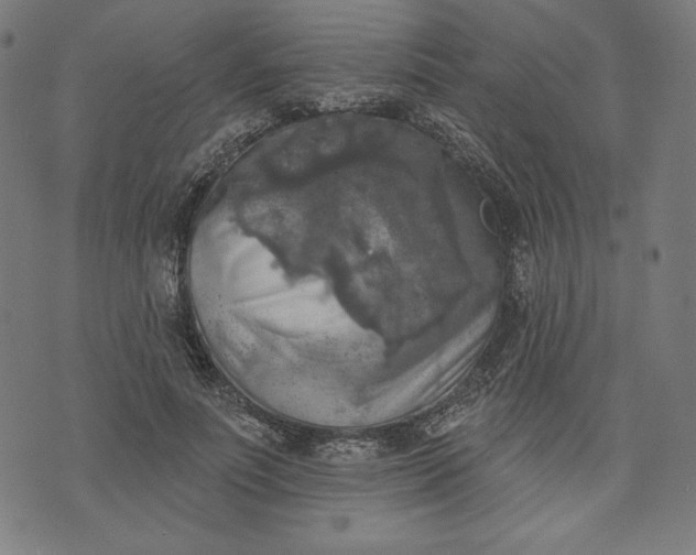 X0000070340691200606231533