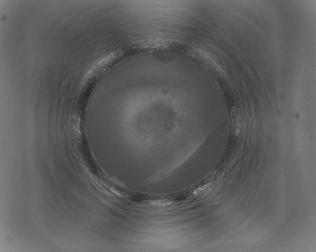 X0000070340692200606231532