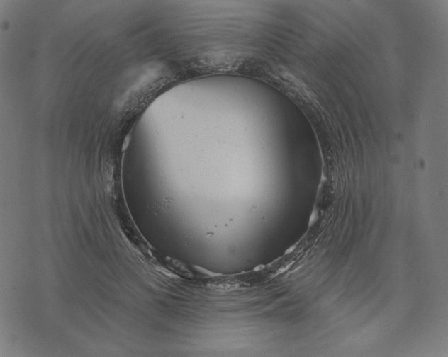 X0000070340693200606231532