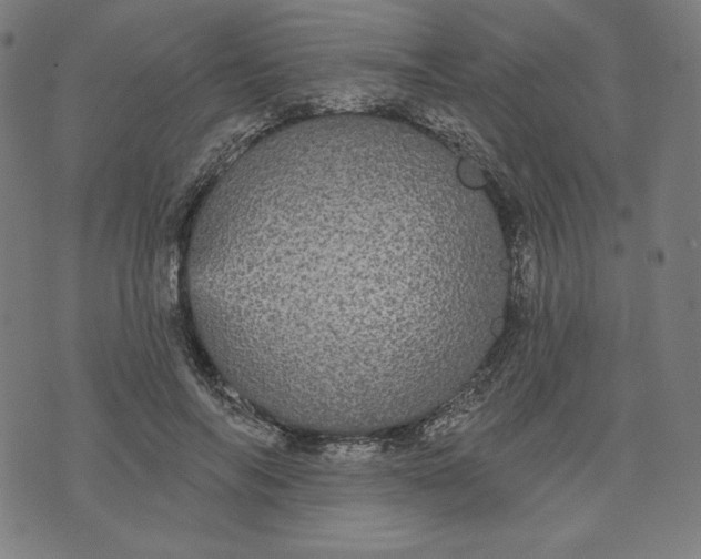 X0000070340694200606231532