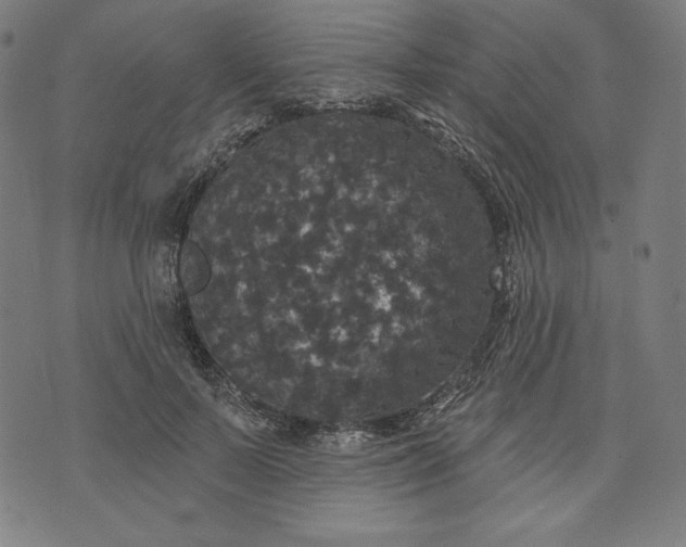 X0000070340695200606231532