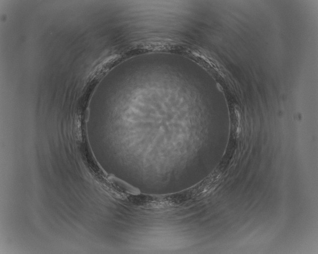 X0000070340696200606231532