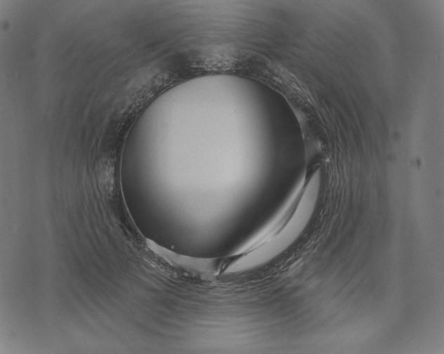 X0000070340697200606231532