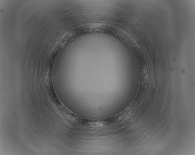 X0000070340698200606231532