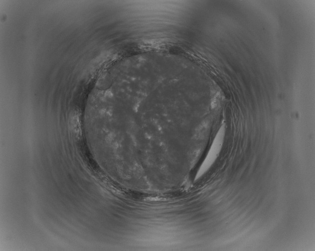 X0000070340699200606231532