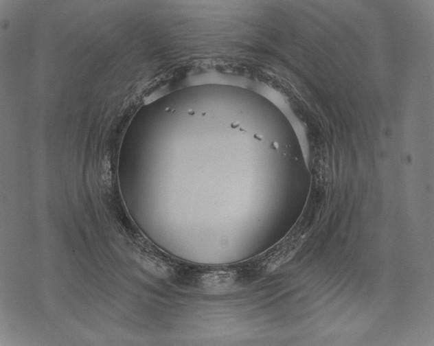 X0000070340700200606231532