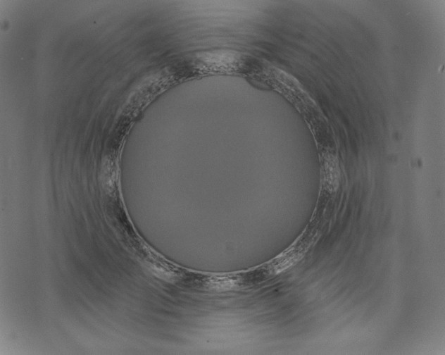 X0000070340701200606231532