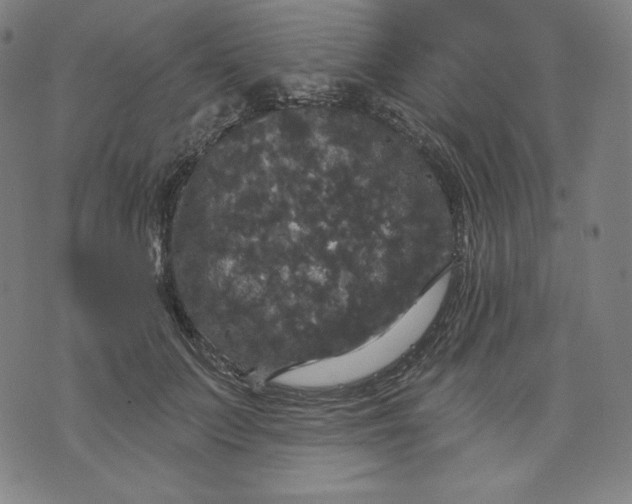 X0000070340703200606231532