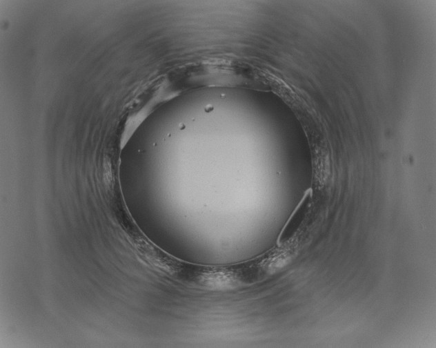 X0000070340704200606231532