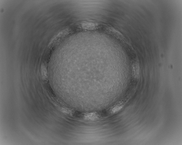 X0000070340705200606231532