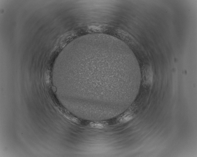 X0000070340706200606231532