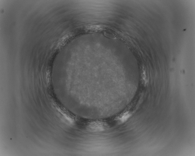 X0000070340708200606231532