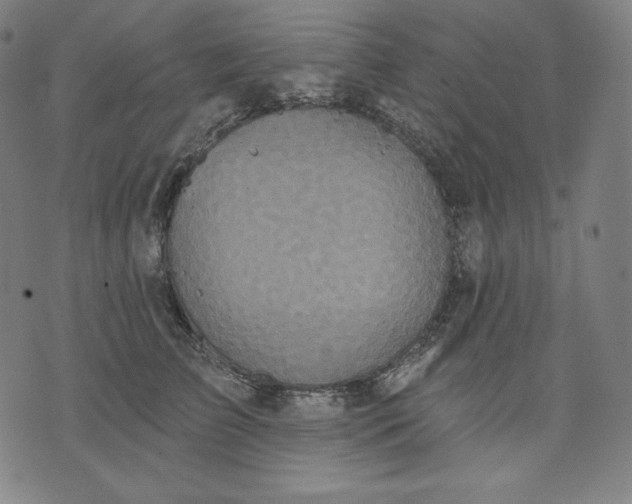 X0000070340709200606231532