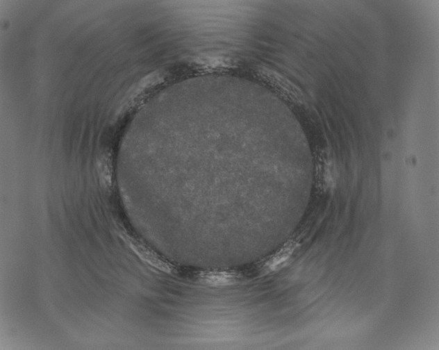 X0000070340710200606231532