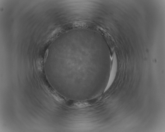 X0000070340712200606231532